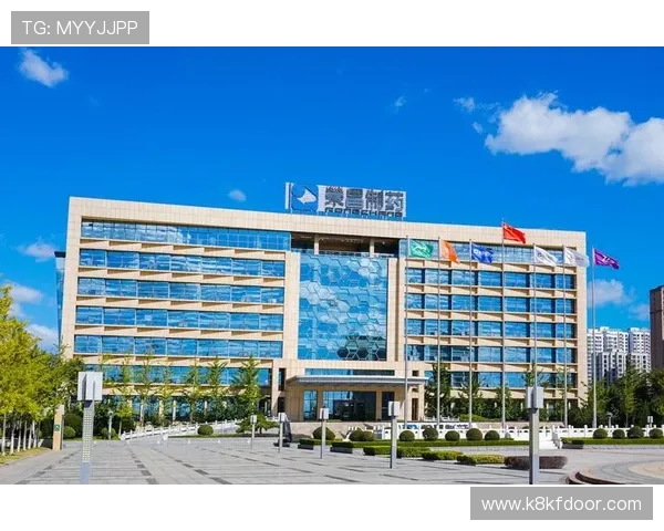 K8凯发中国加强安全保障措施,保障用户资金与信息安全,赢得用户信任与行业良好口碑 K8凯发中国加强安全保障措施,保障用户资金与信息安全,赢得用户信任与行业良好口碑